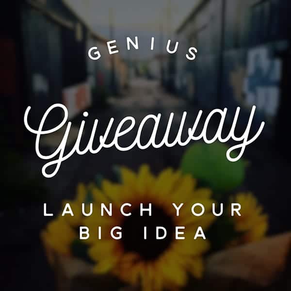 The Genius Giveaway; helping you launch your big idea